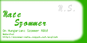 mate szommer business card
