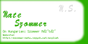 mate szommer business card